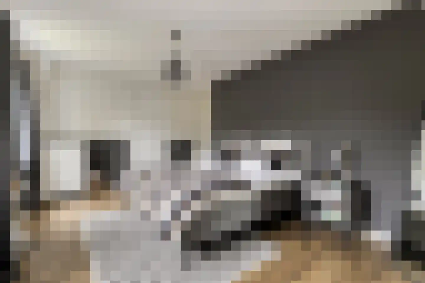 Middenpad 27 Zuidoostbeemster thumbnail 23