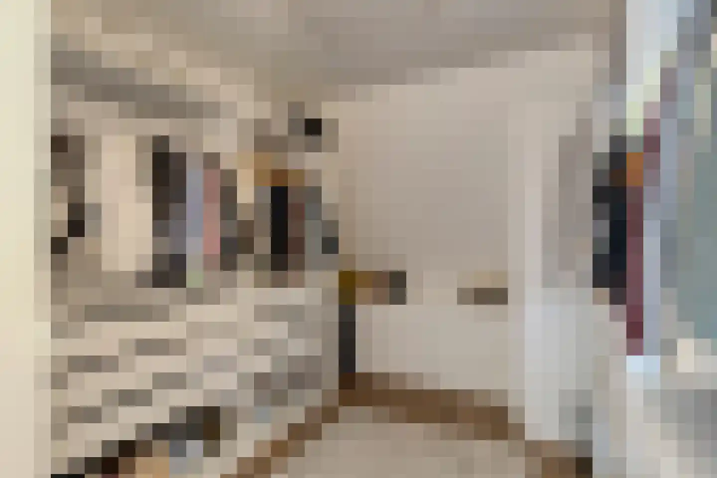 Middenpad 27 Zuidoostbeemster thumbnail 28