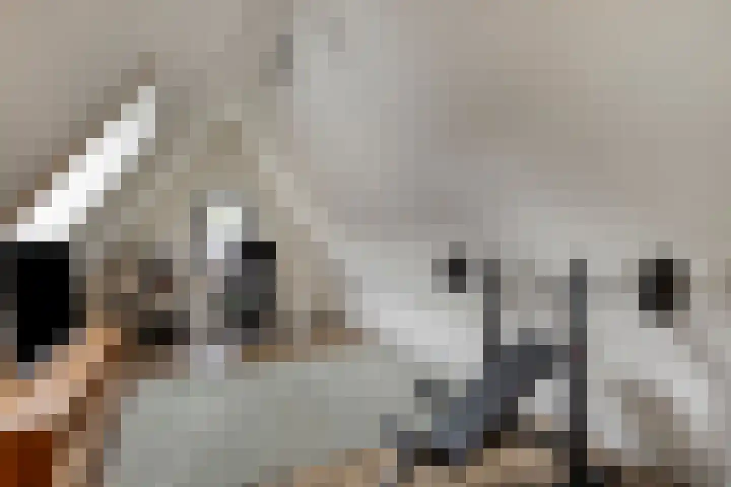 Middenpad 27 Zuidoostbeemster thumbnail 37