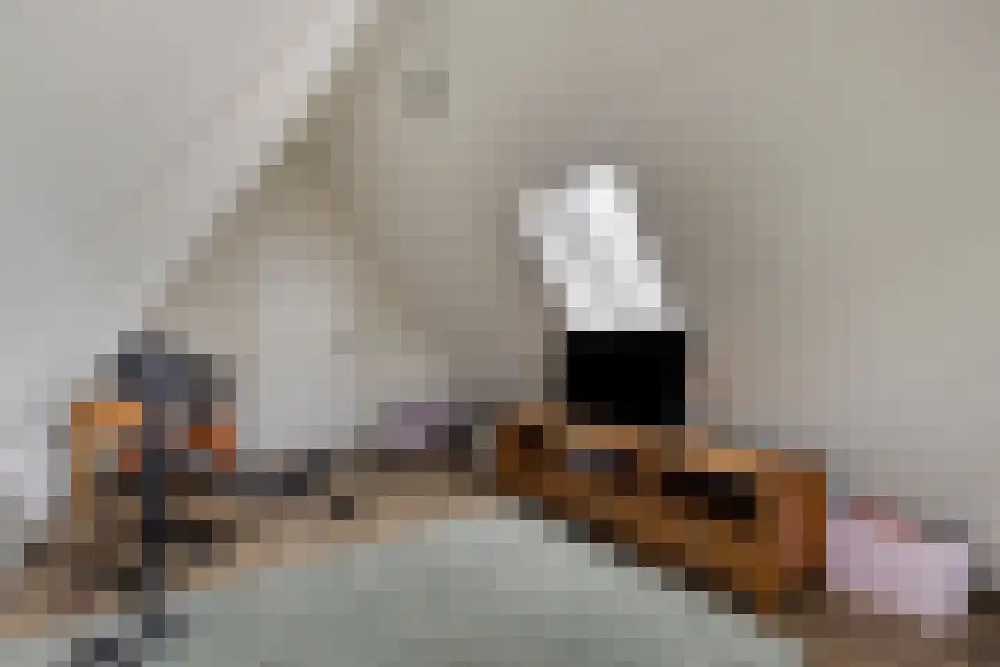 Middenpad 27 Zuidoostbeemster thumbnail 38