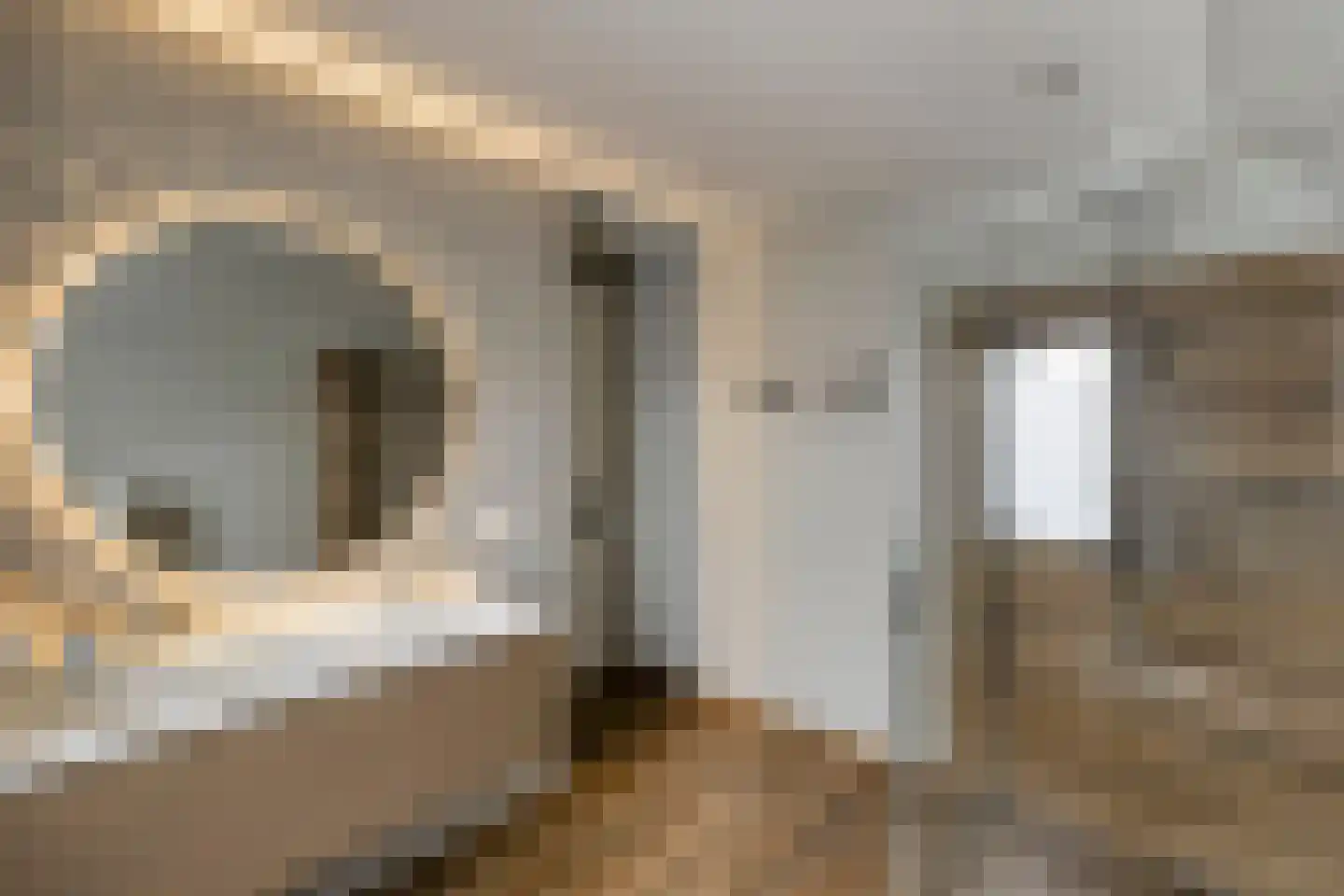 Middenpad 27 Zuidoostbeemster thumbnail 4