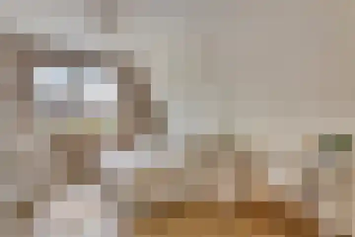 Middenpad 29 Zuidoostbeemster thumbnail 23