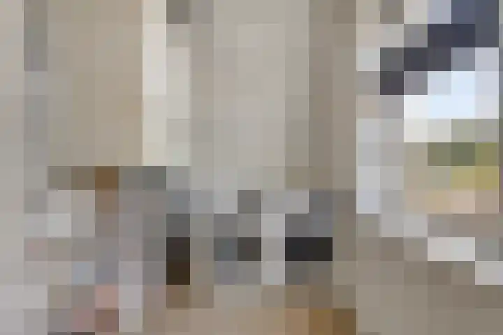 Middenpad 29 Zuidoostbeemster thumbnail 29