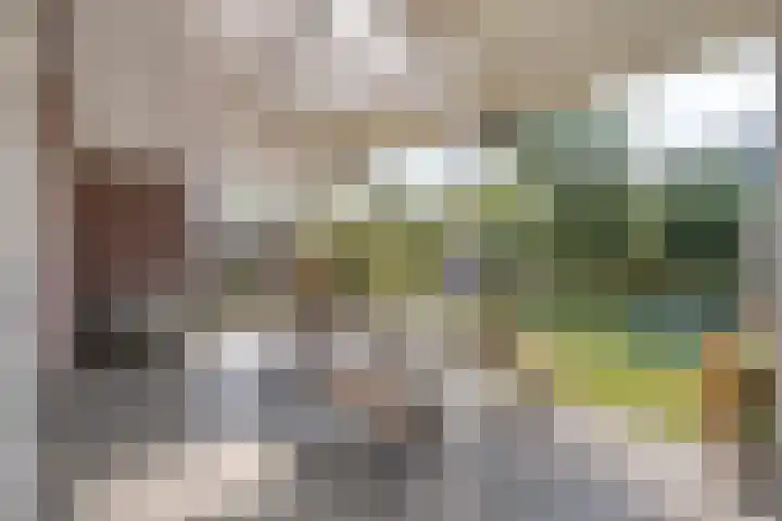 Middenpad 29 Zuidoostbeemster thumbnail 36