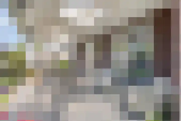 Middenpad 29 Zuidoostbeemster thumbnail 39