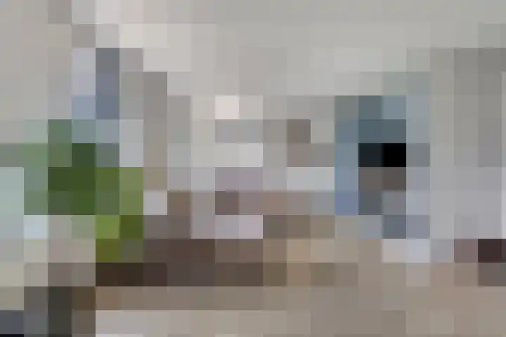 Middenpad 29 Zuidoostbeemster thumbnail 8