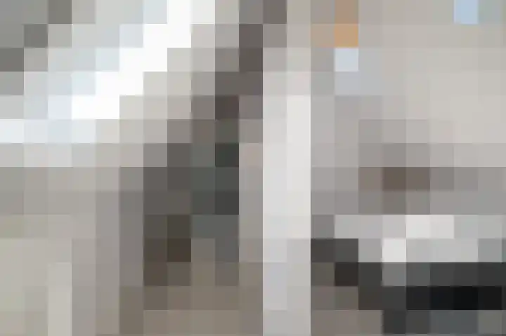 Middenpad 3 Haren Gn thumbnail 35