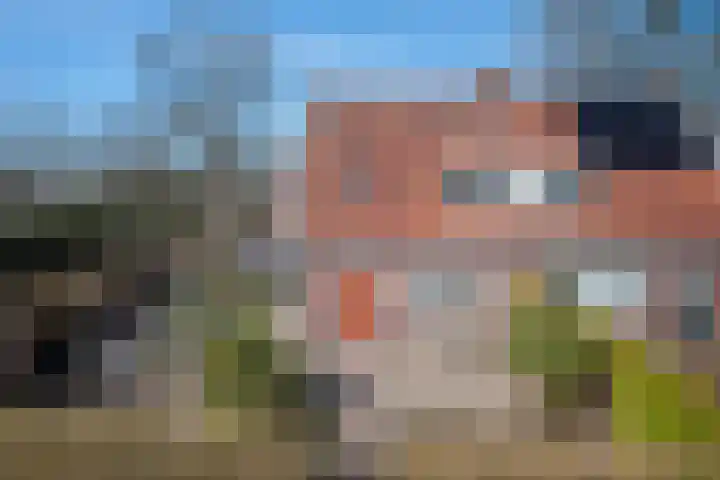 Middenpad 3 Haren Gn thumbnail 9