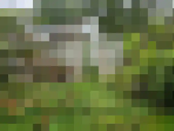 Middenpad 4 Norg thumbnail 4