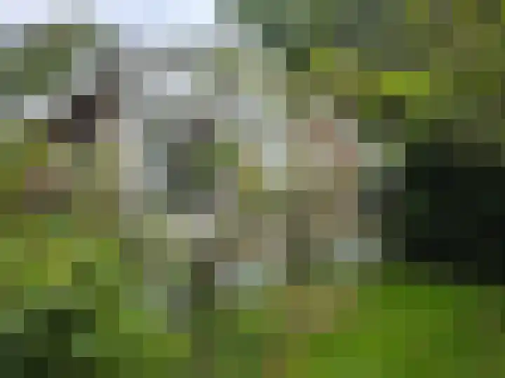 Middenpad 4 Norg thumbnail 5