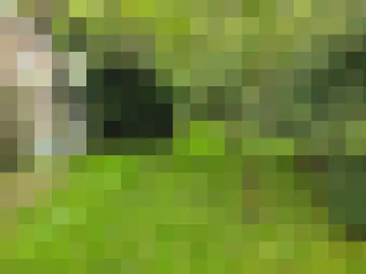 Middenpad 4 Norg thumbnail 6