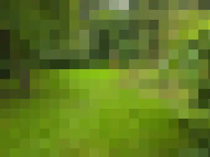 Middenpad 4 Norg thumbnail 7
