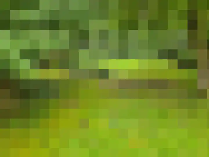 Middenpad 4 Norg thumbnail 8