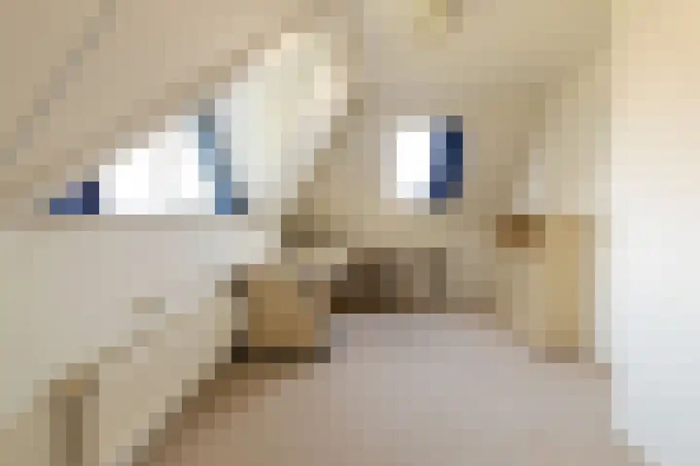 Middenpaed 4 Bakhuizen thumbnail 18