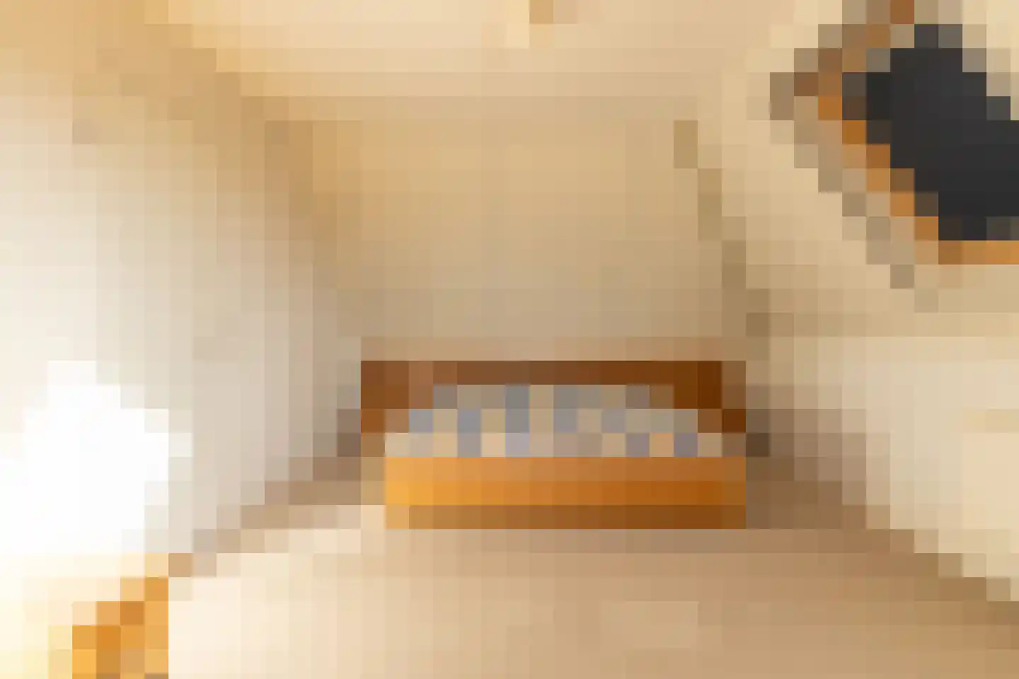 Middenpaed 4 Bakhuizen thumbnail 22
