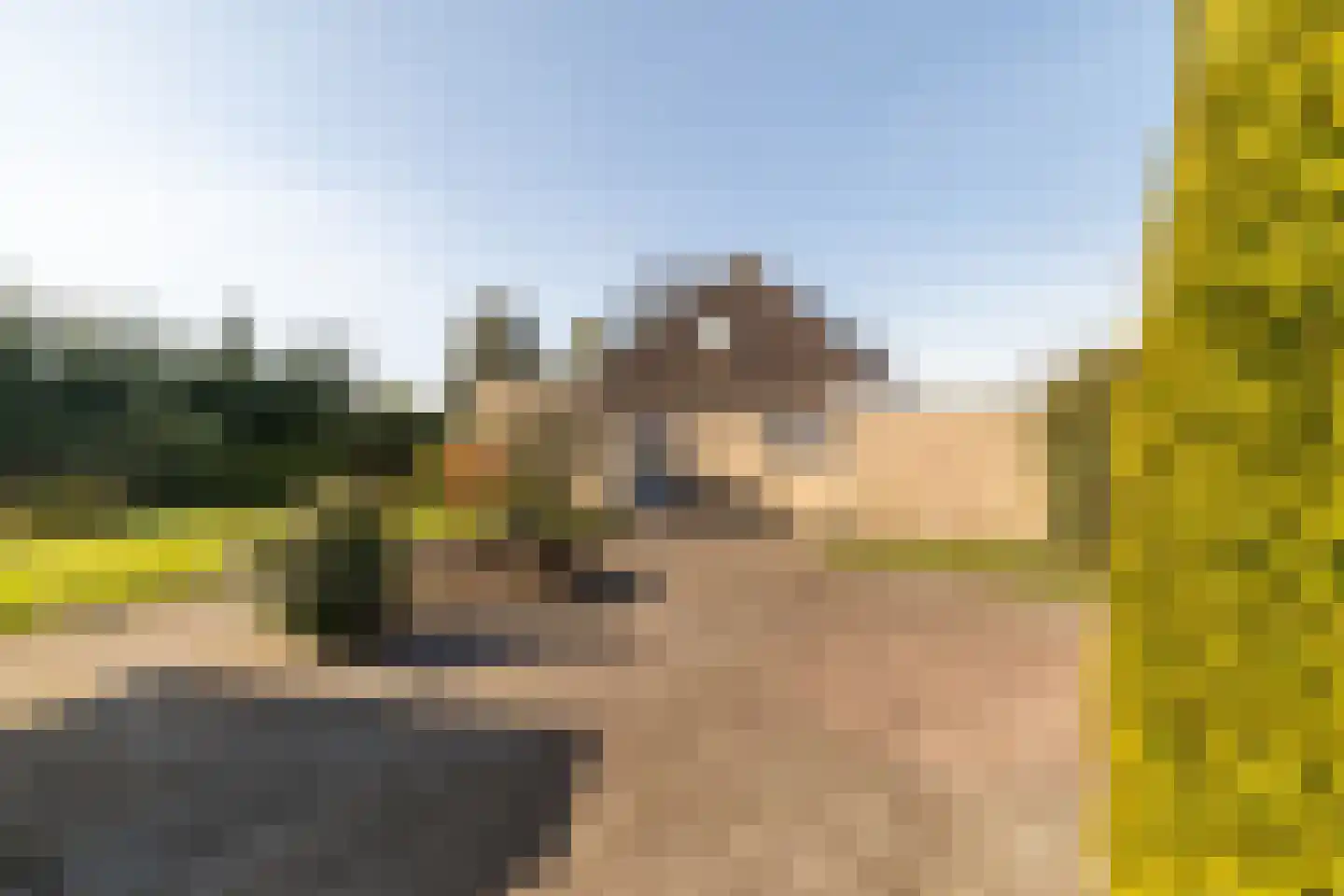 Middenpaed 4 Bakhuizen thumbnail 26