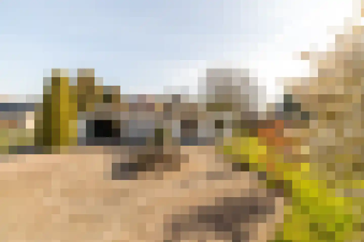 Middenpaed 4 Bakhuizen thumbnail 28