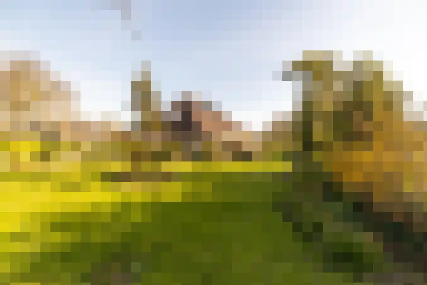 Middenpaed 4 Bakhuizen thumbnail 29