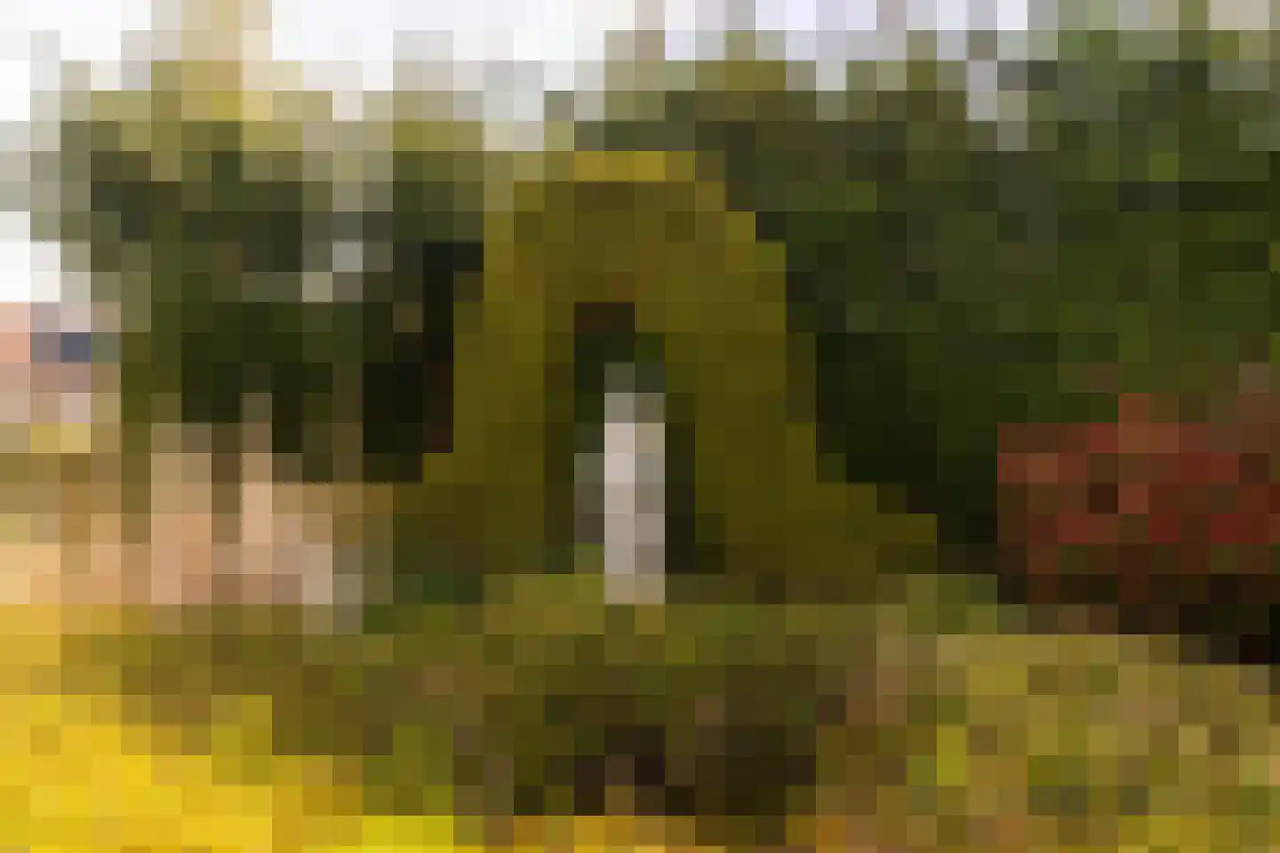 Middenpaed 4 Bakhuizen thumbnail 30