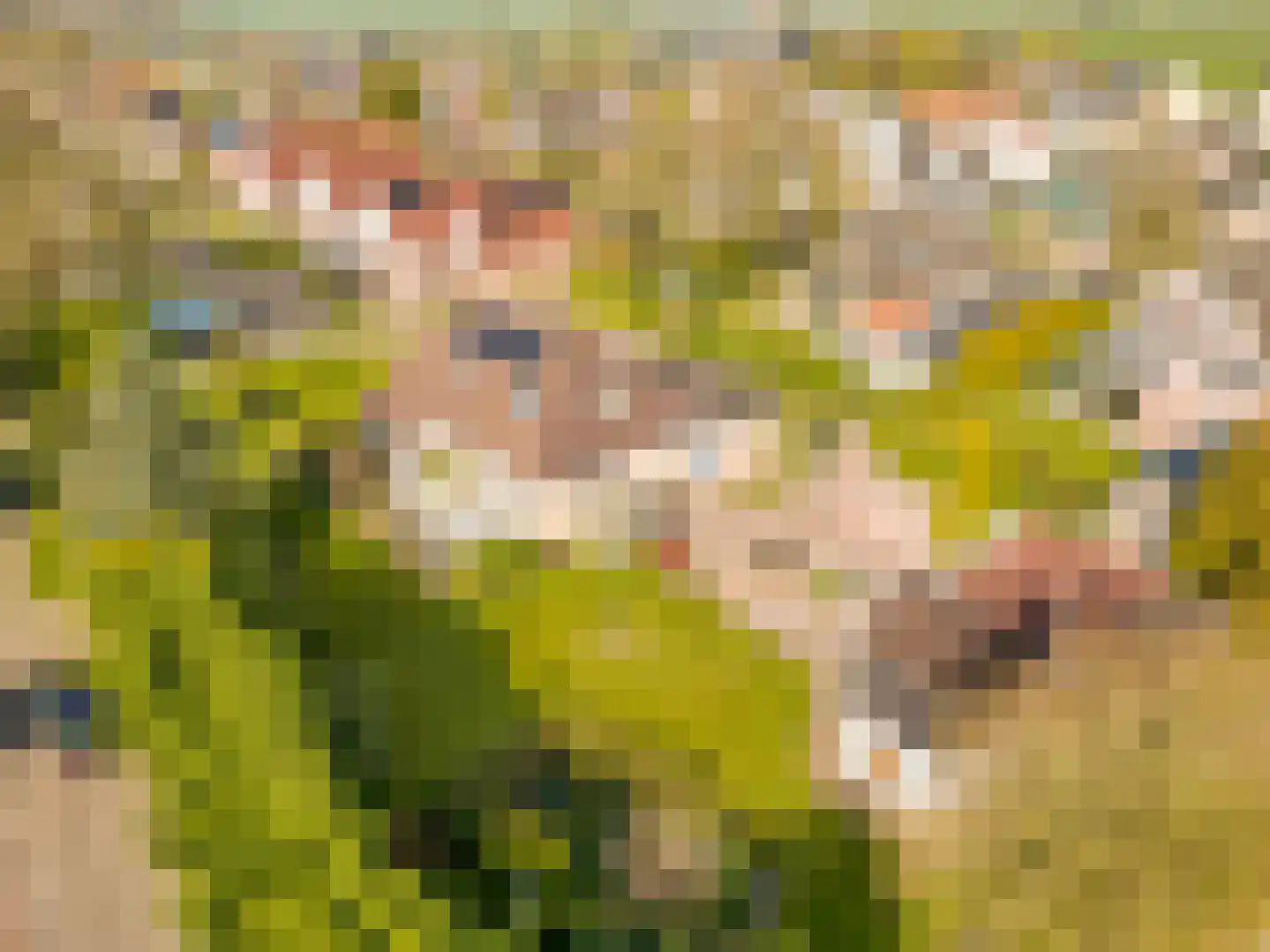 Middenpaed 4 Bakhuizen thumbnail 33
