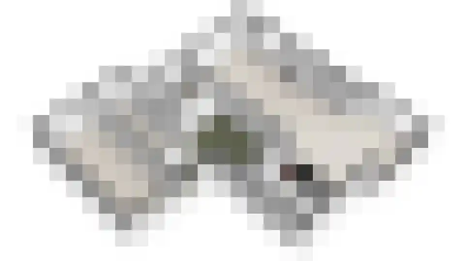 Middenpaed 4 Bakhuizen thumbnail 35