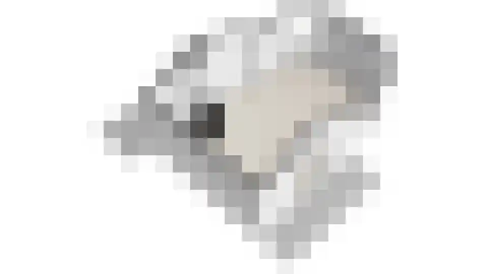 Middenpaed 4 Bakhuizen thumbnail 39