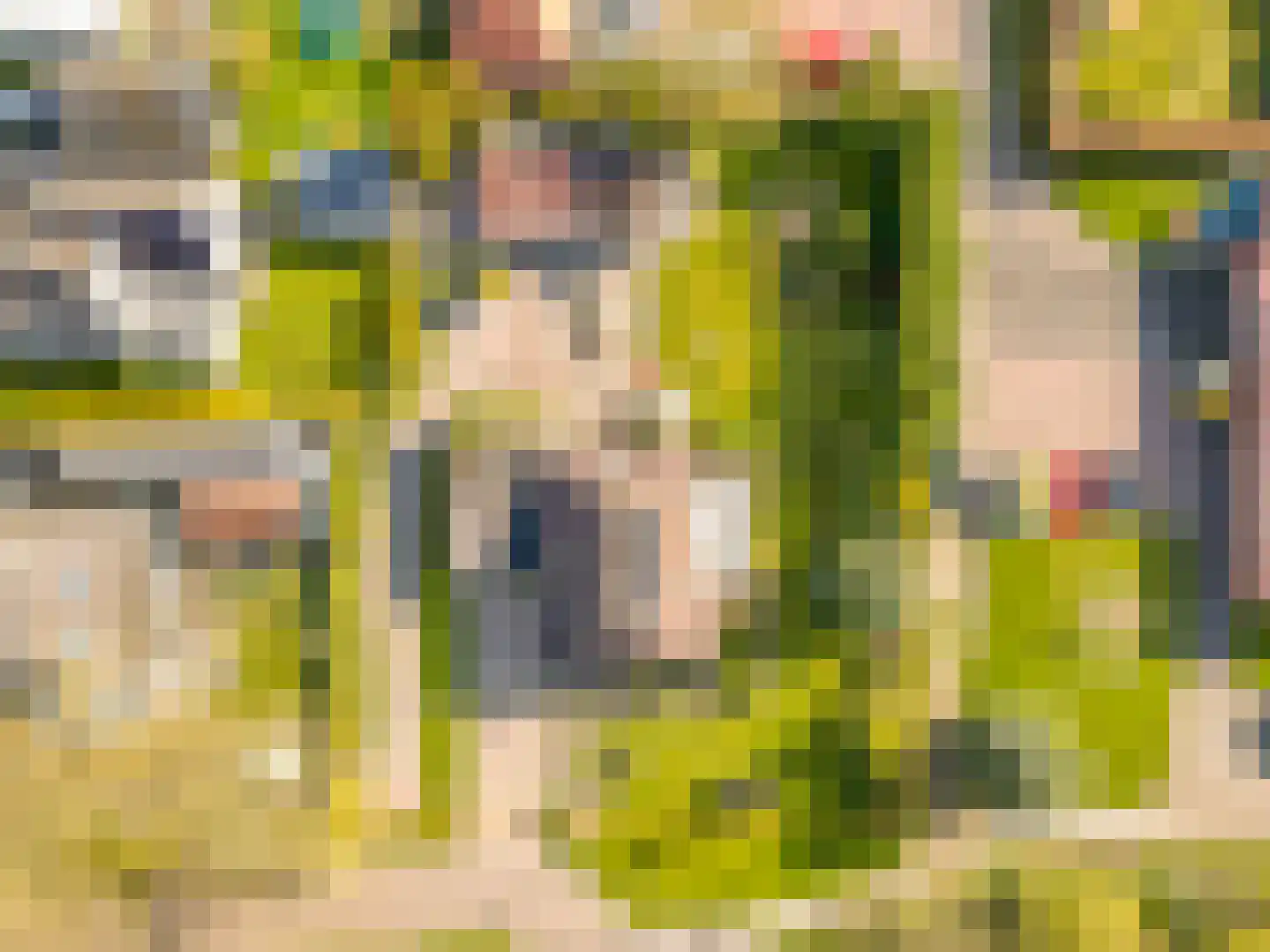 Middenpaed 4 Bakhuizen thumbnail 4