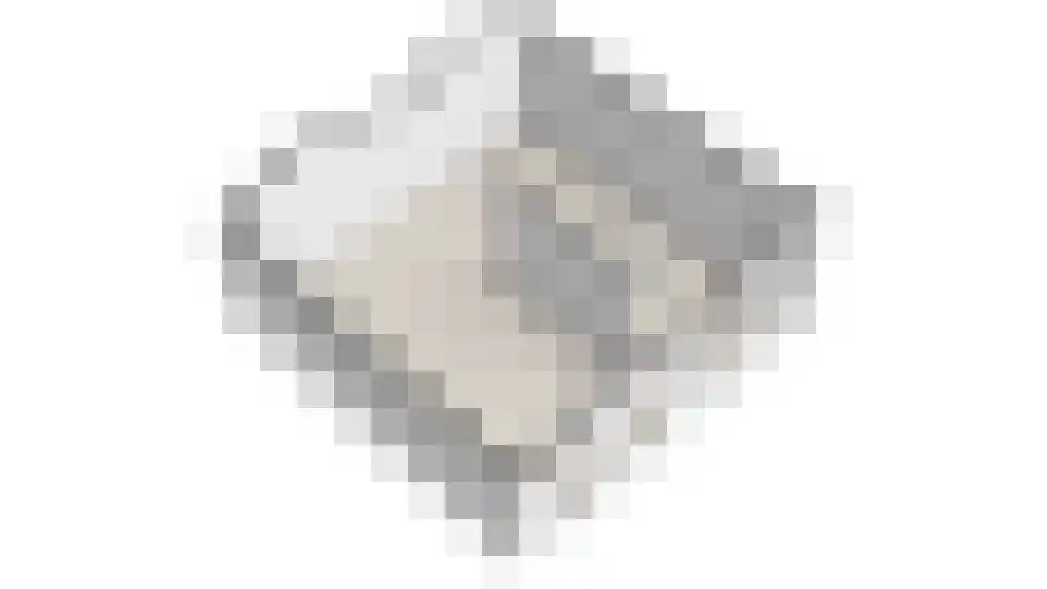 Middenpaed 4 Bakhuizen thumbnail 41