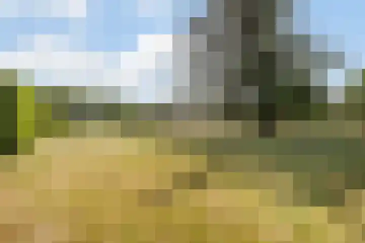 Middenpeelweg 4 Odiliapeel thumbnail 57