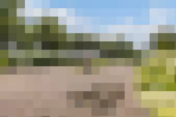 Middenpeelweg 4 Odiliapeel thumbnail 64