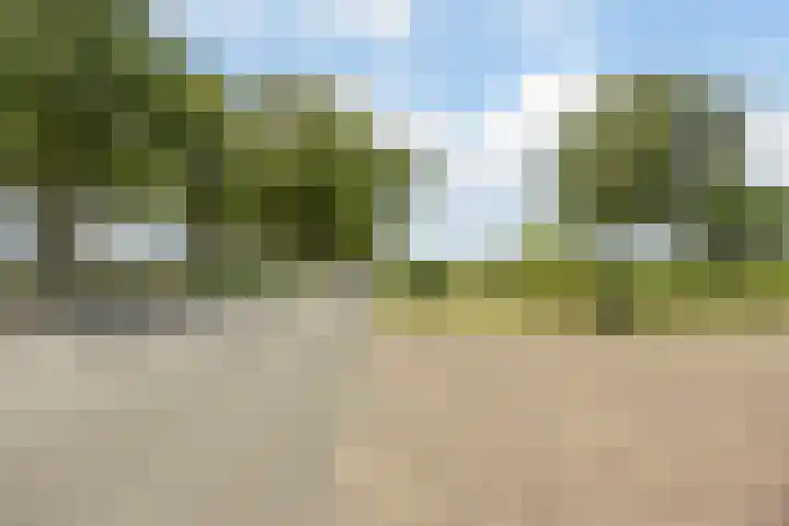 Middenpeelweg 4 Odiliapeel thumbnail 68