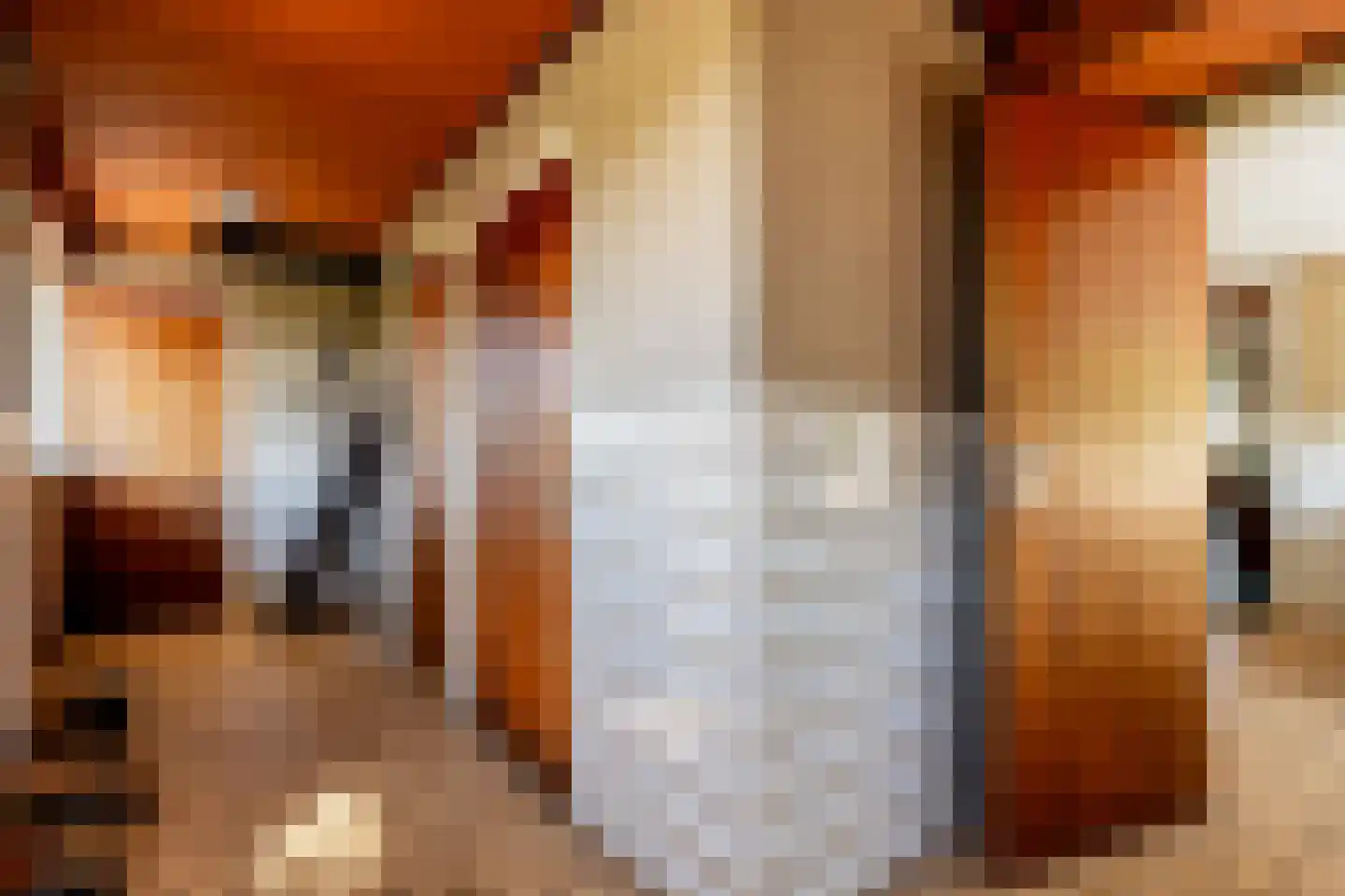 Middenraai 55 Nieuweroord thumbnail 30