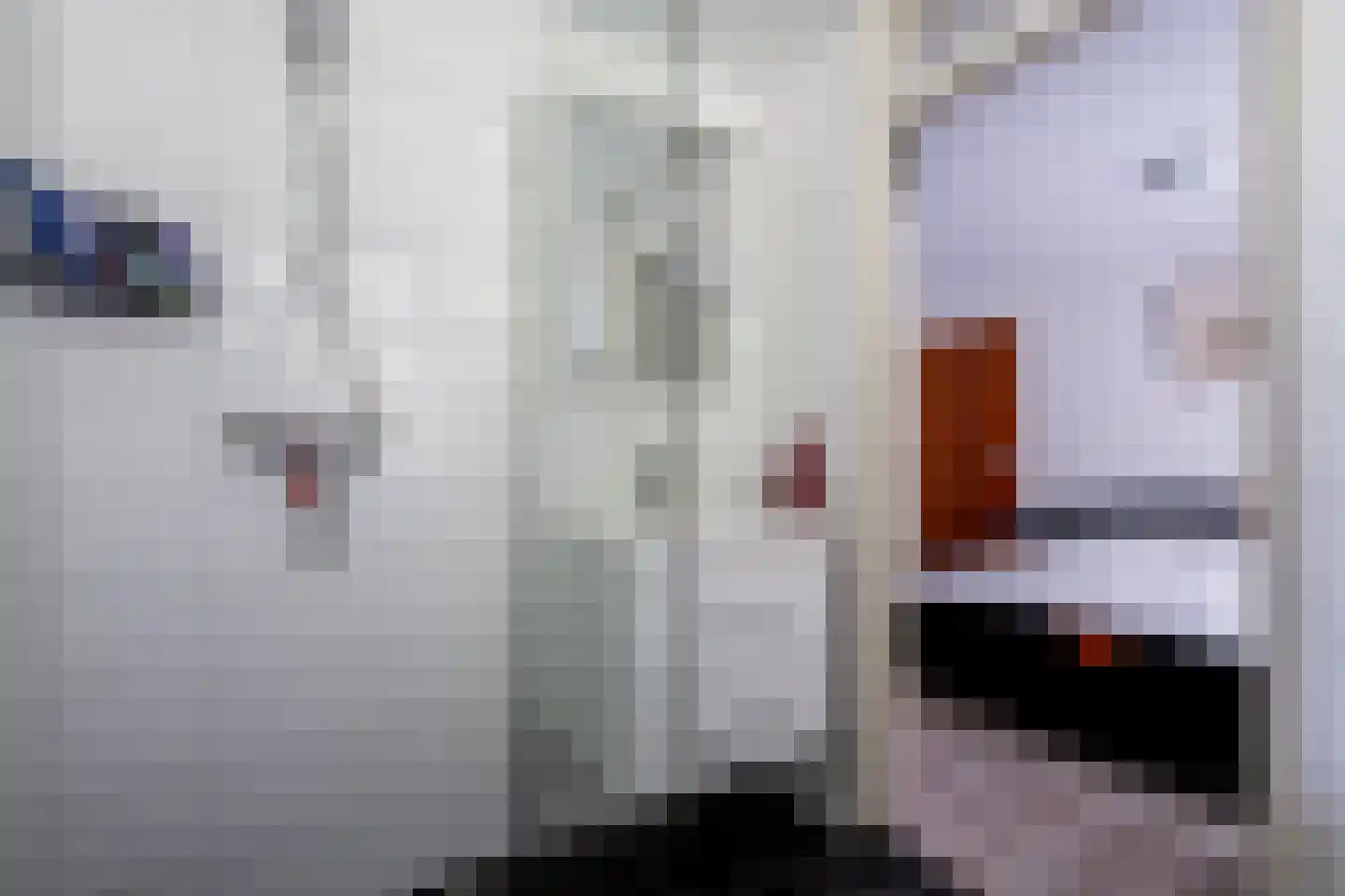 Middenraai 55 Nieuweroord thumbnail 42