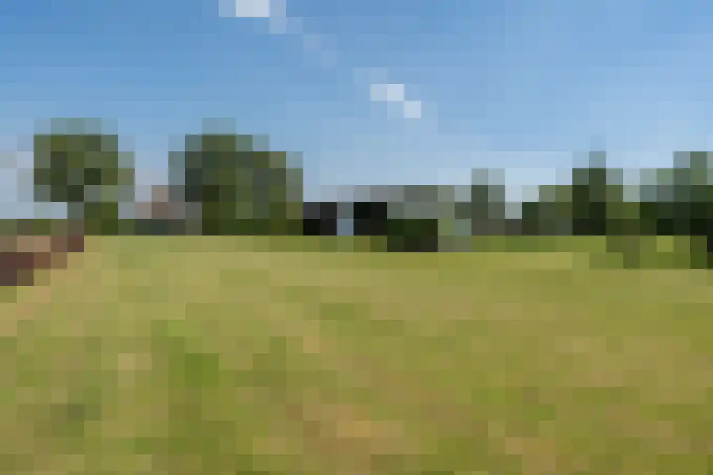 Middenraai 55 Nieuweroord thumbnail 8