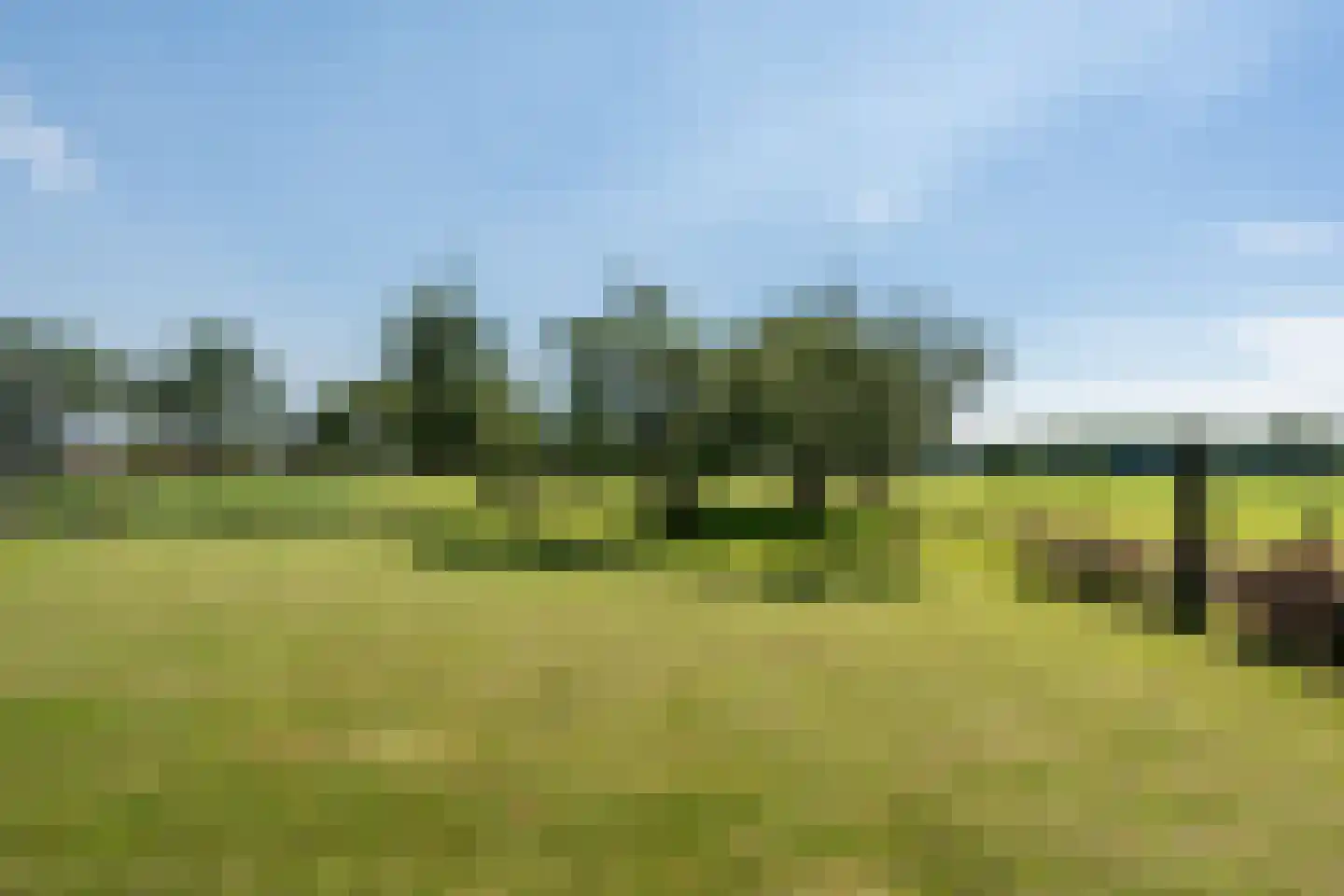 Middenraai 55 Nieuweroord thumbnail 9