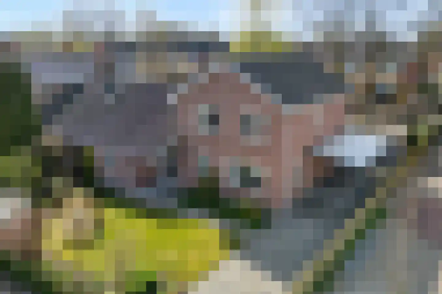 Middenraai 77 a Nieuweroord