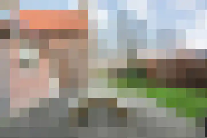Middenraai 79 a Nieuweroord thumbnail 39