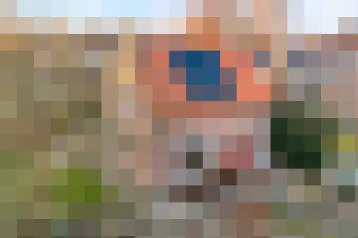 Middenraai 79 a Nieuweroord thumbnail 4