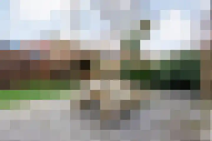 Middenraai 79 a Nieuweroord thumbnail 41
