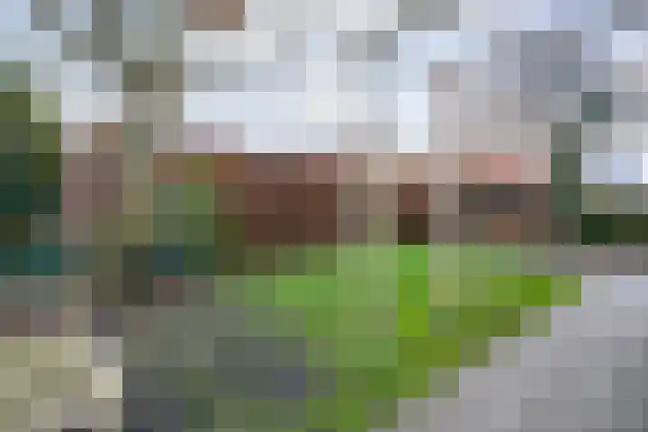 Middenraai 79 a Nieuweroord thumbnail 42