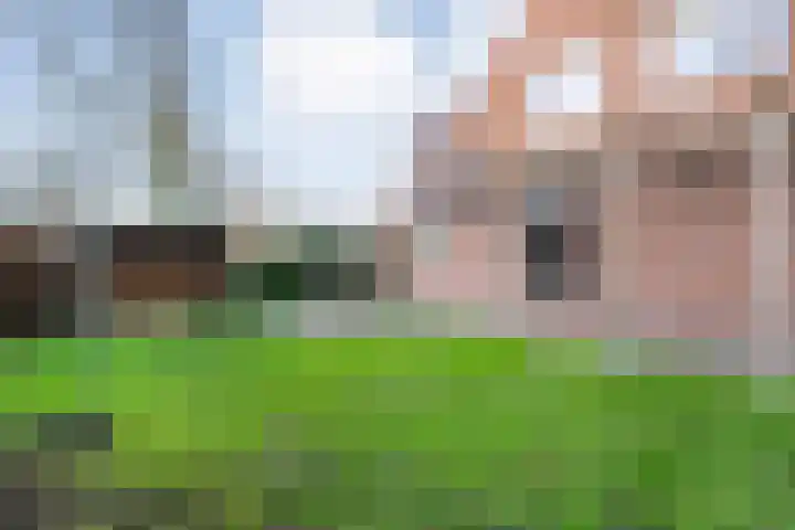Middenraai 79 a Nieuweroord thumbnail 43