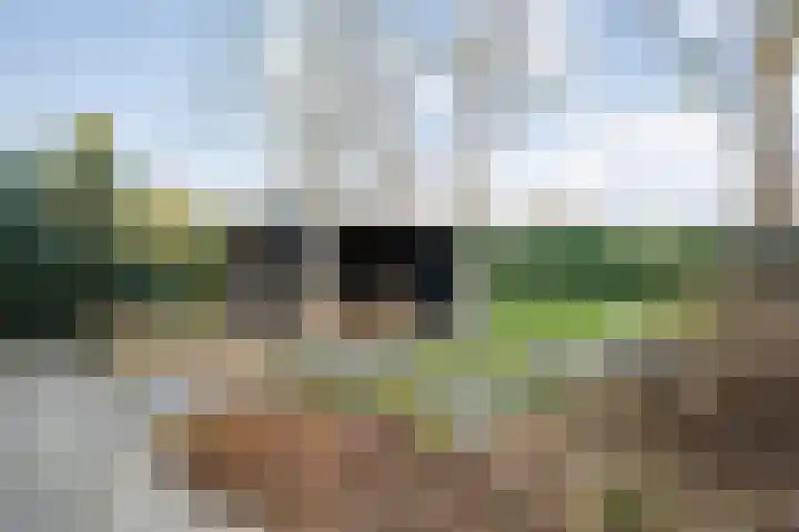 Middenraai 79 a Nieuweroord thumbnail 47