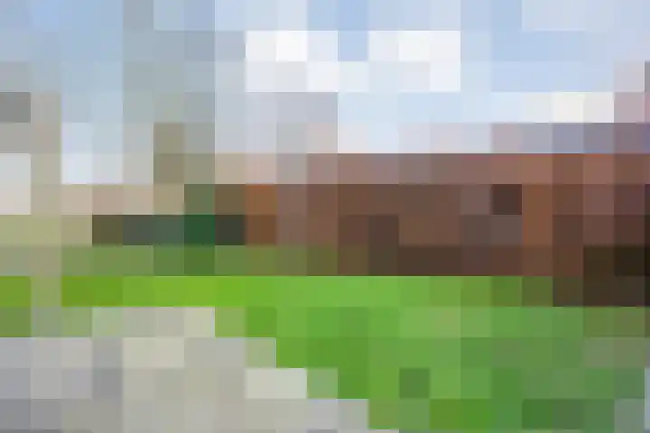 Middenraai 79 a Nieuweroord thumbnail 48