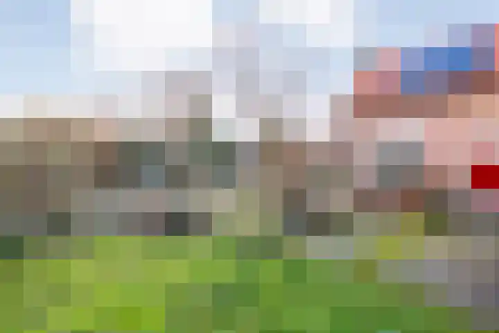 Middenraai 79 a Nieuweroord thumbnail 49