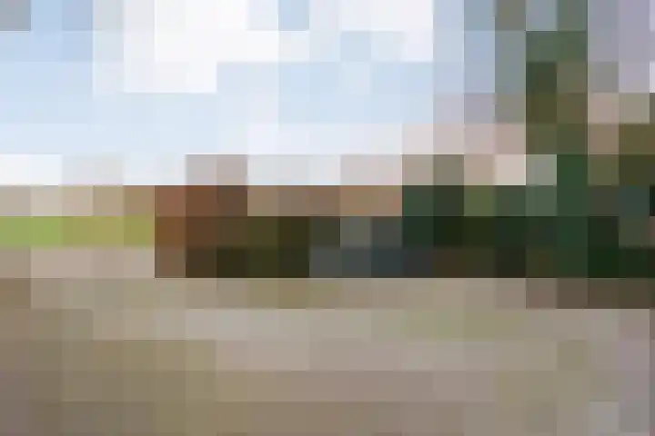 Middenraai 79 a Nieuweroord thumbnail 50