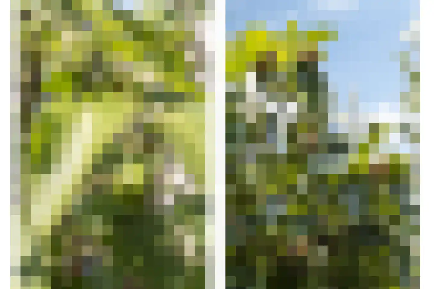 Middenschouwenstraat 9 Tilburg thumbnail 12