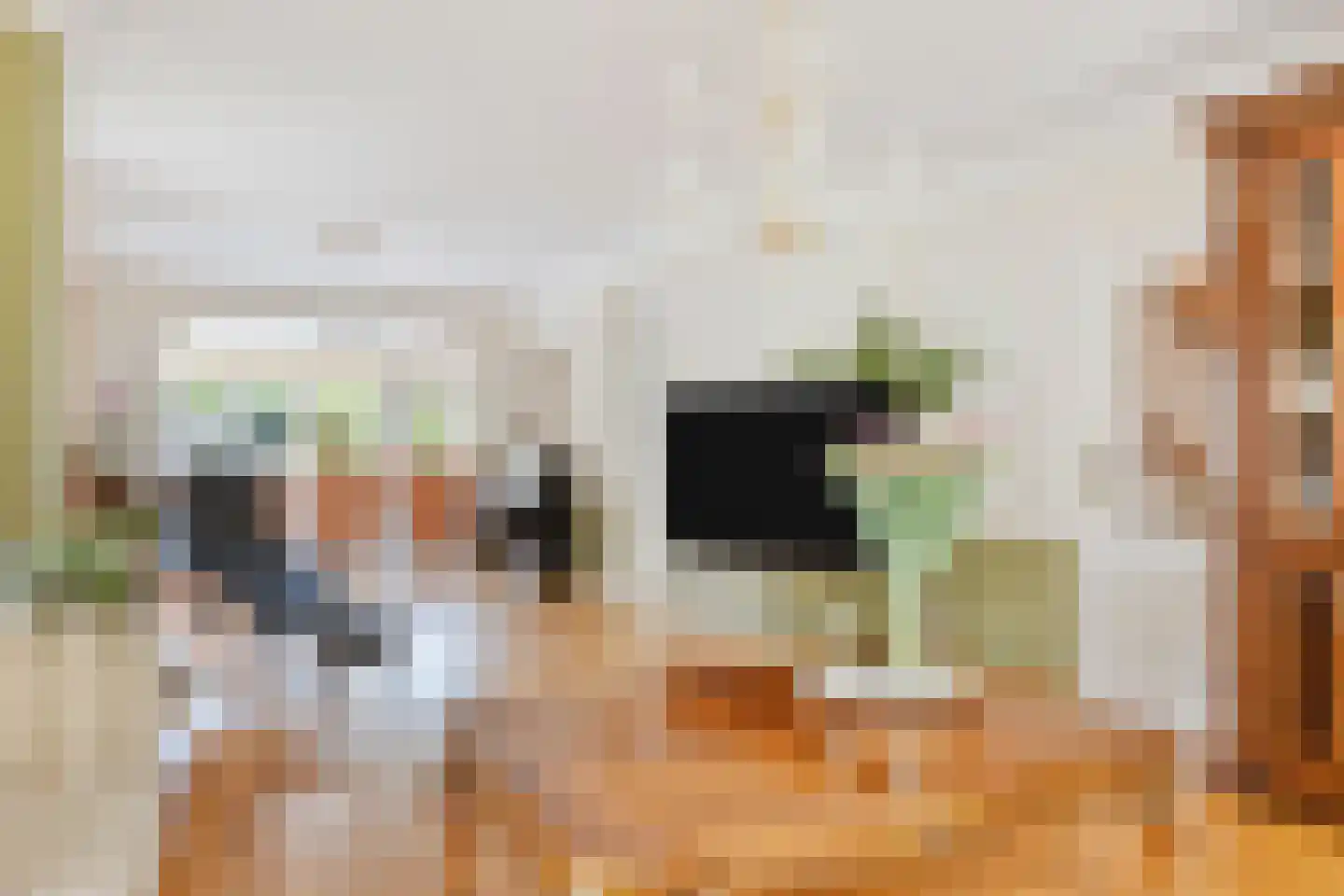 Middenschouwenstraat 9 Tilburg thumbnail 15