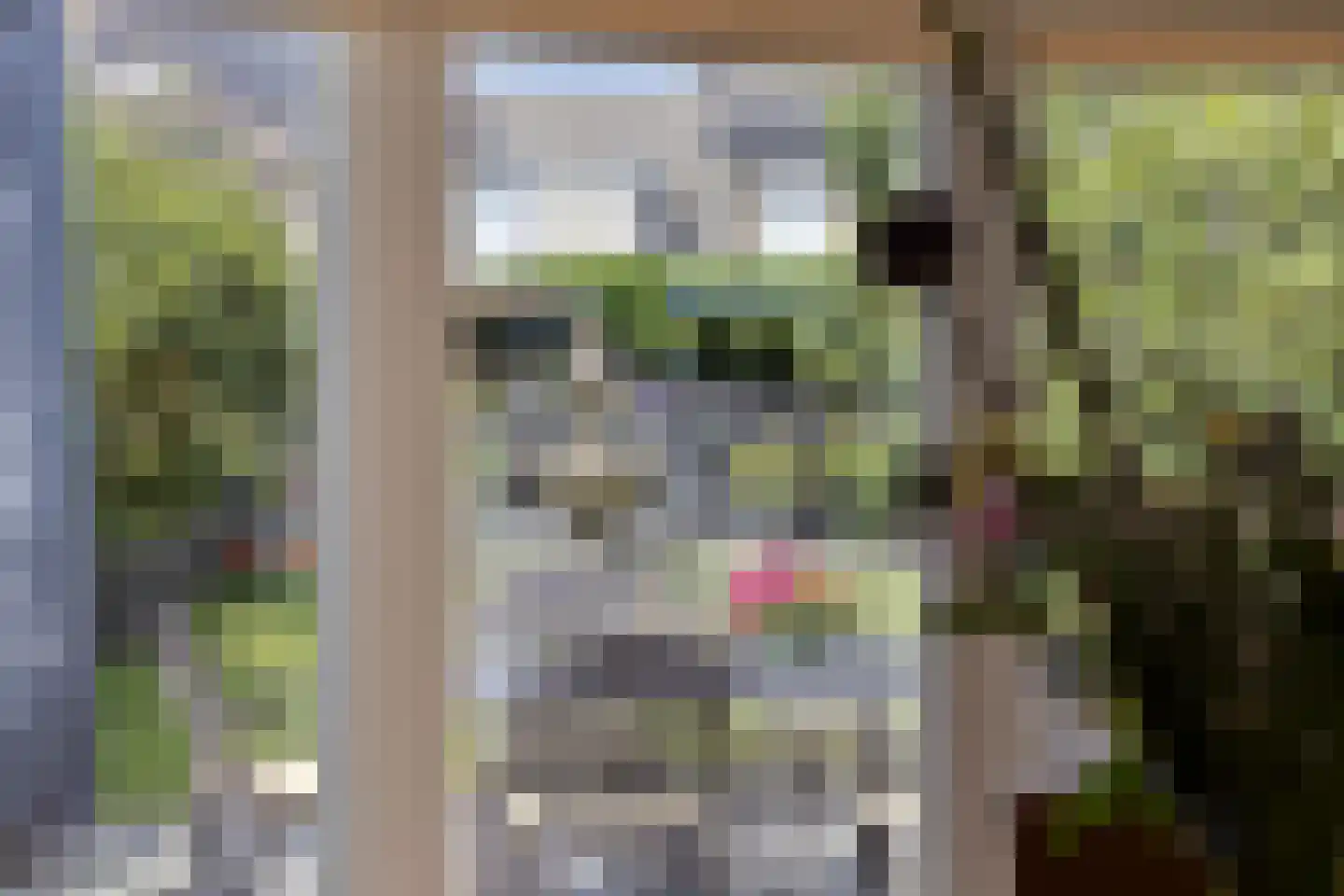 Middenschouwenstraat 9 Tilburg thumbnail 20