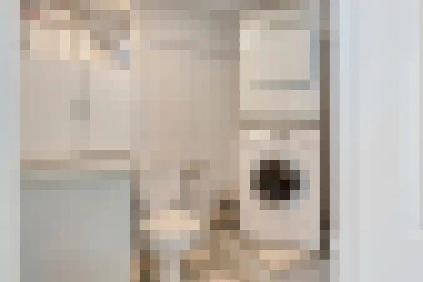 Middenschouwenstraat 9 Tilburg thumbnail 30