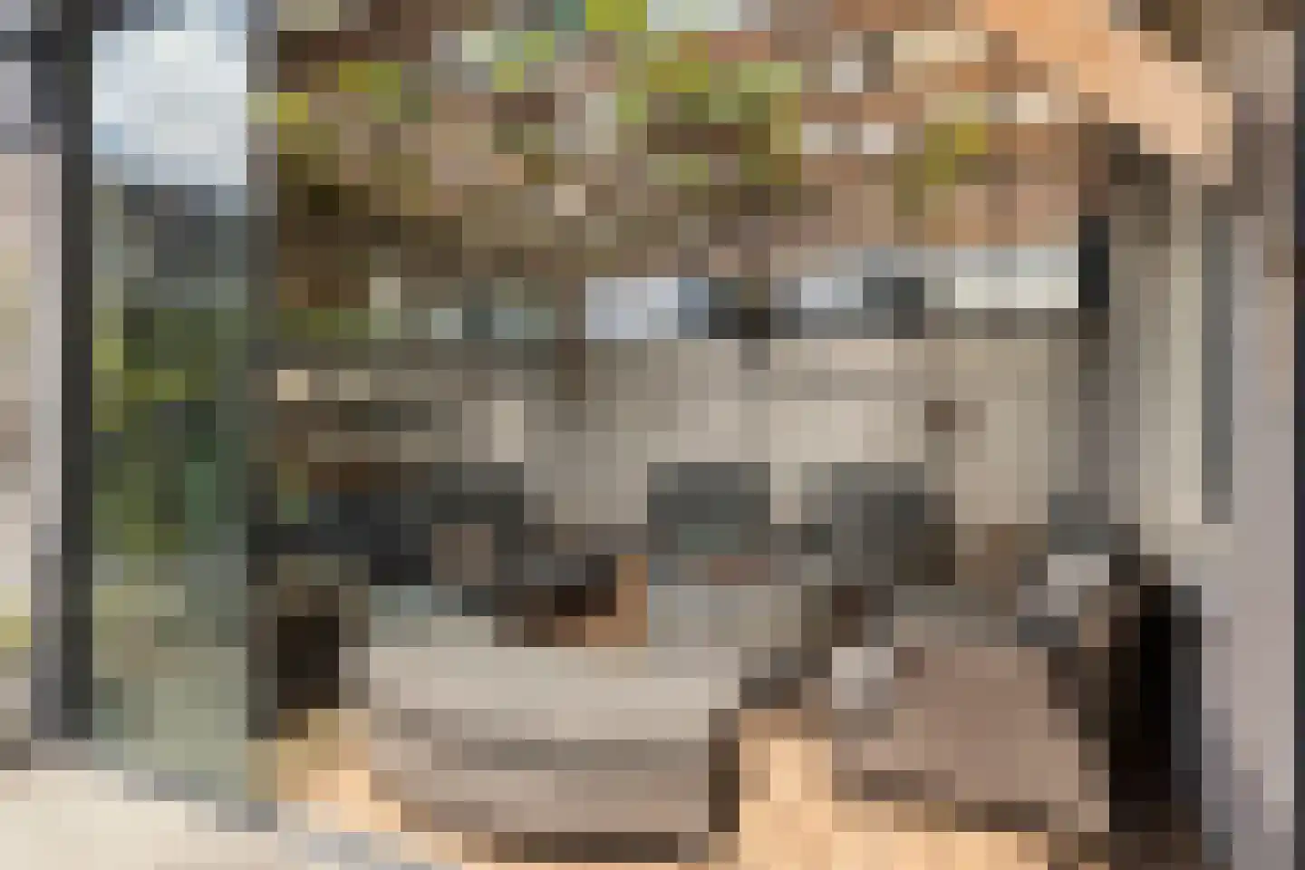 Middenschouwenstraat 9 Tilburg thumbnail 53
